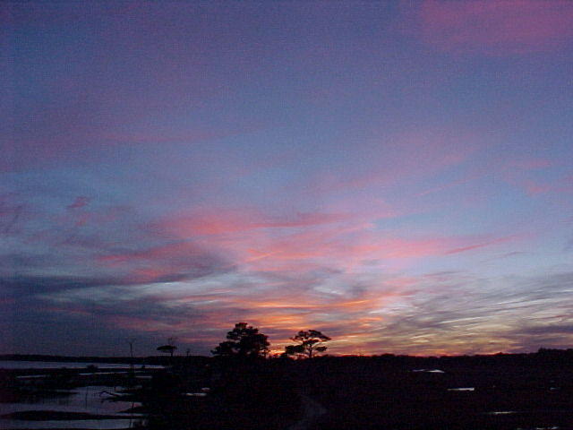 Jan. 20th, 2006
