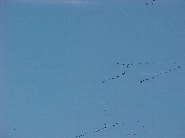 Jan. 19th, 2006