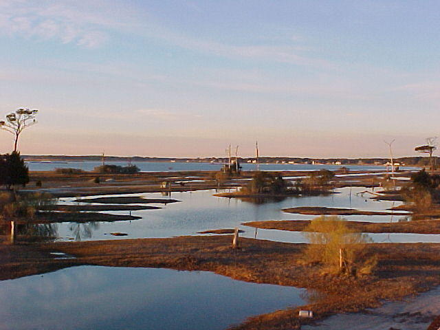 Jan. 19th, 2006