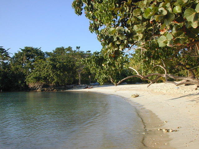 Half Moon Beach