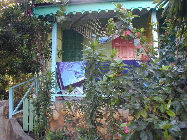 Samsara Cabin 1C