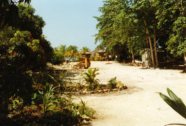 Looking towards the sea
