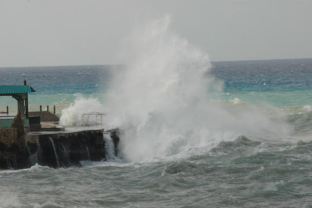 DSC_0065