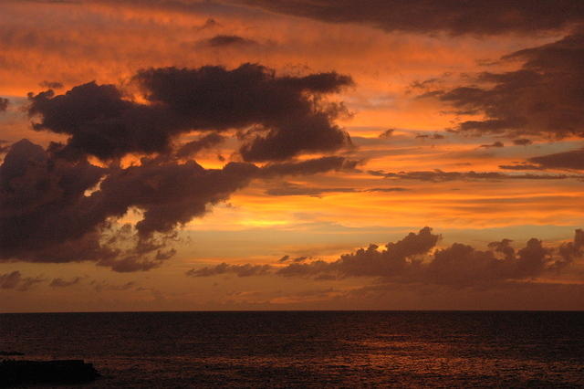 DSC_0080