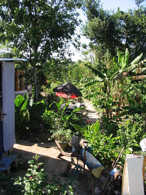 Half House garden ready for the party