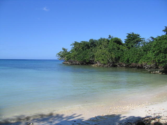 HALF MOON BEACH