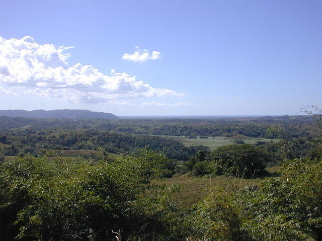 VV view from Chas porch