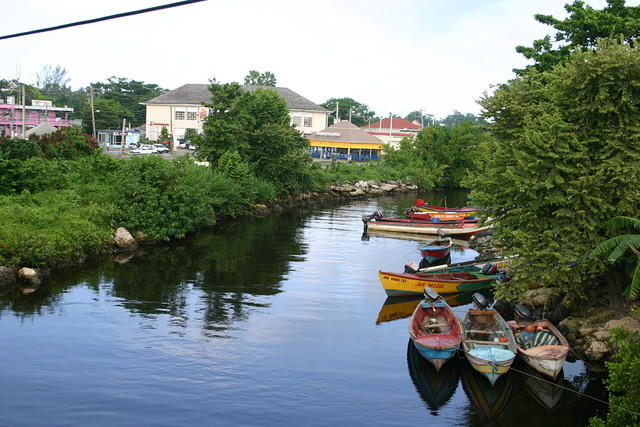Negril River