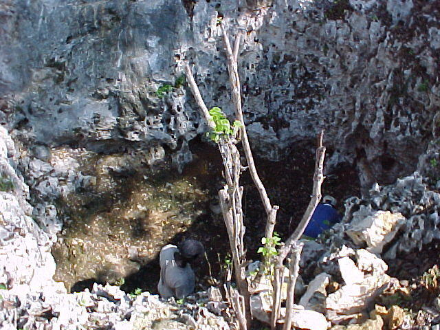 Sewer pit