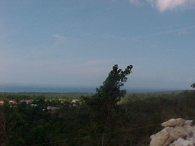 More views