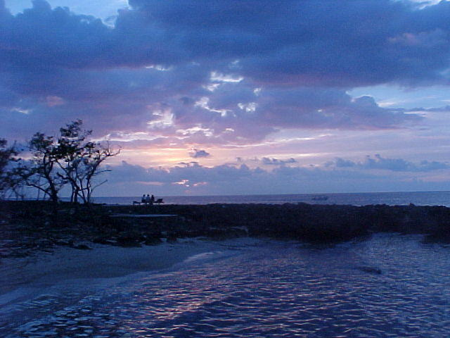 Jan. 31st, 2006