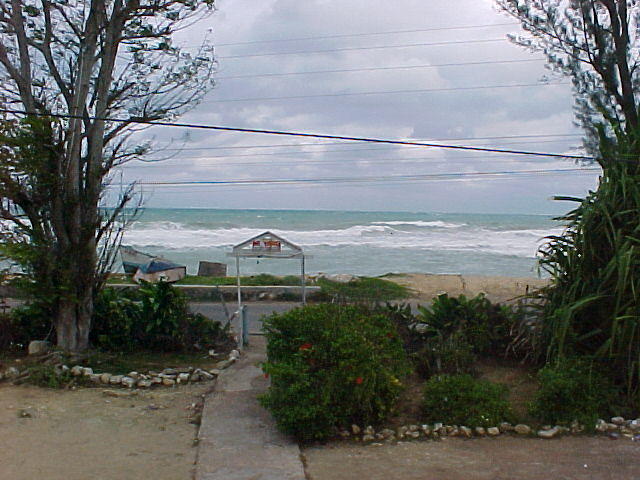 MVC_001F_019.jpg