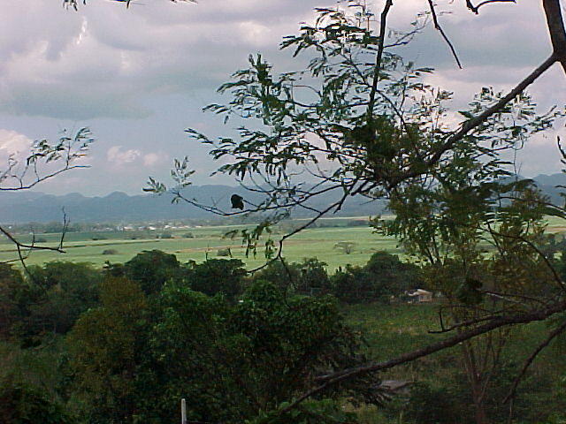 MVC_001F_026.jpg
