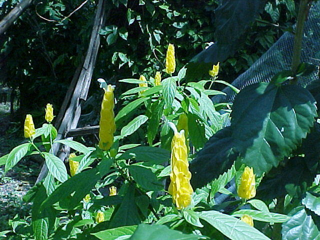Abeokuta Feb. 22nd, 2006