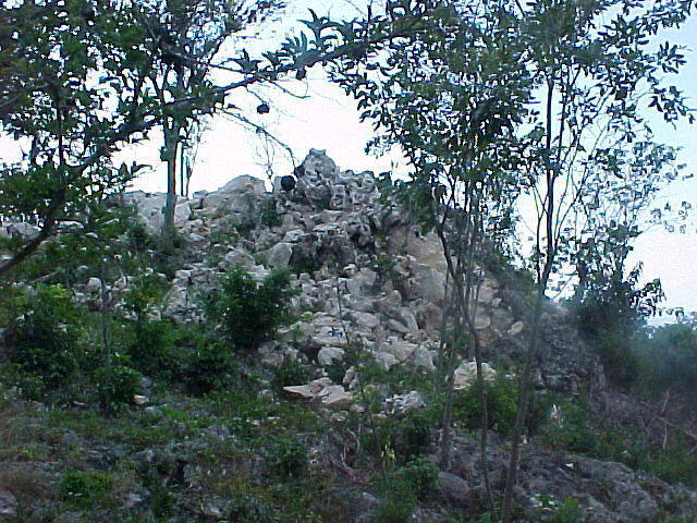 MVC_002F_006.jpg