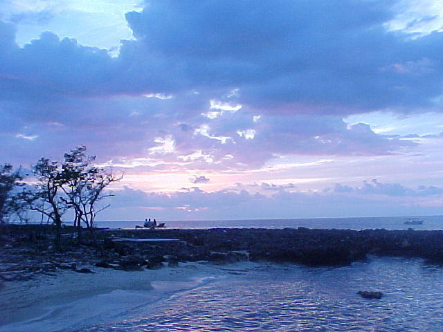 Jan. 31st, 2006