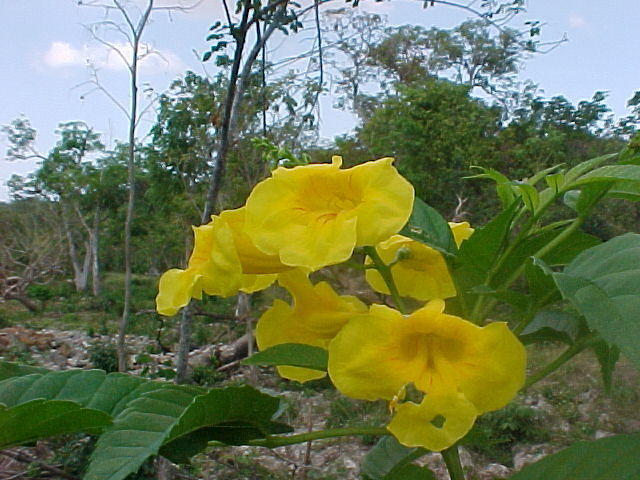 MVC_003F_006.jpg