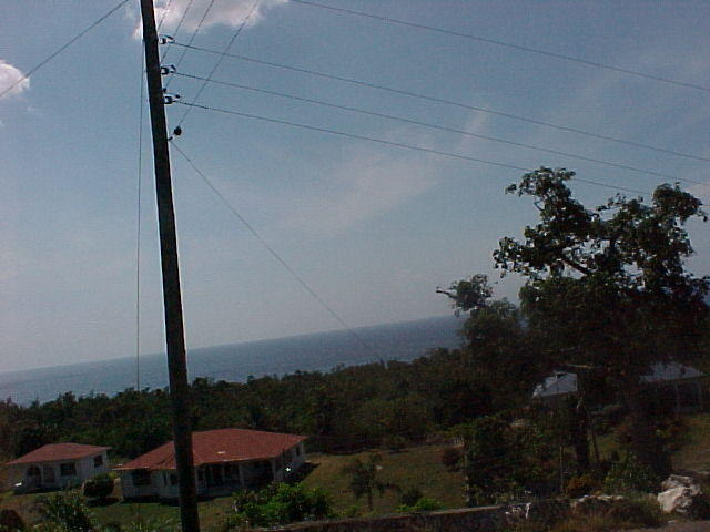 MVC_003F_007.jpg