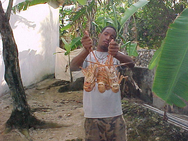 MVC_003F_015.jpg