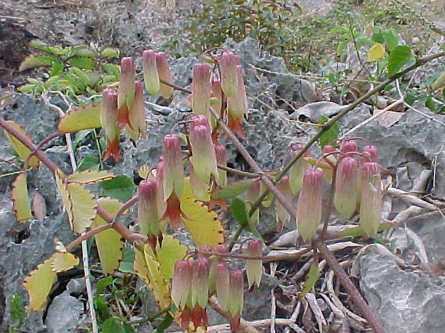 MVC_005F_005.jpg