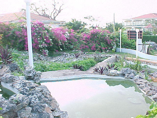 MVC_006F_018.jpg
