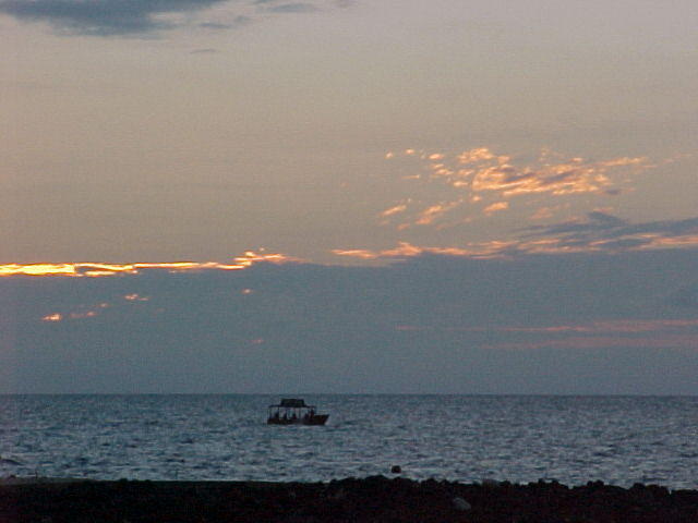 MVC_007F_011.jpg