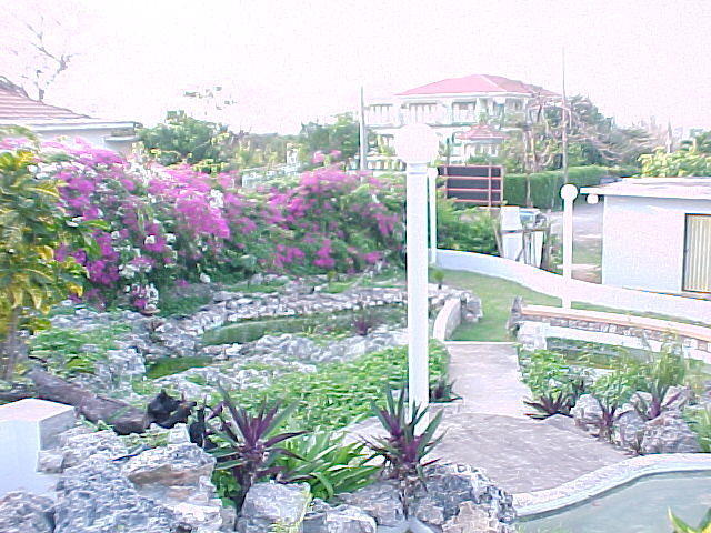 MVC_007F_016.jpg