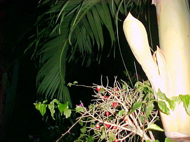 MVC_007F_019.jpg