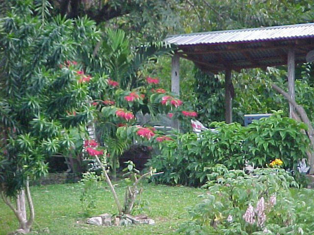 MVC_008F_020.jpg