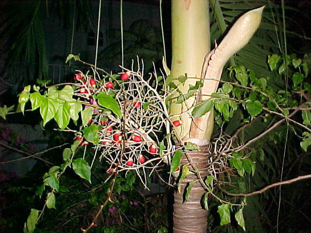 MVC_008F_022.jpg