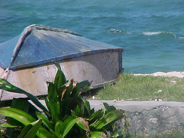 Jan. 27th, 2006 at Mi Yard, Negril