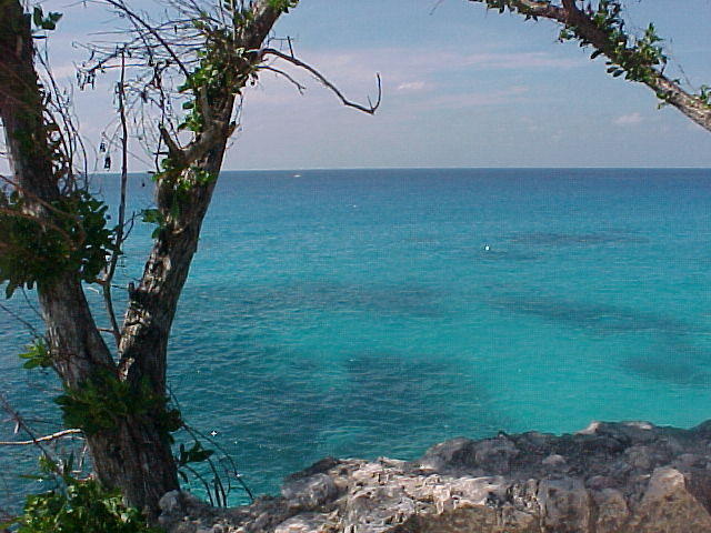 MVC_009F_008.jpg
