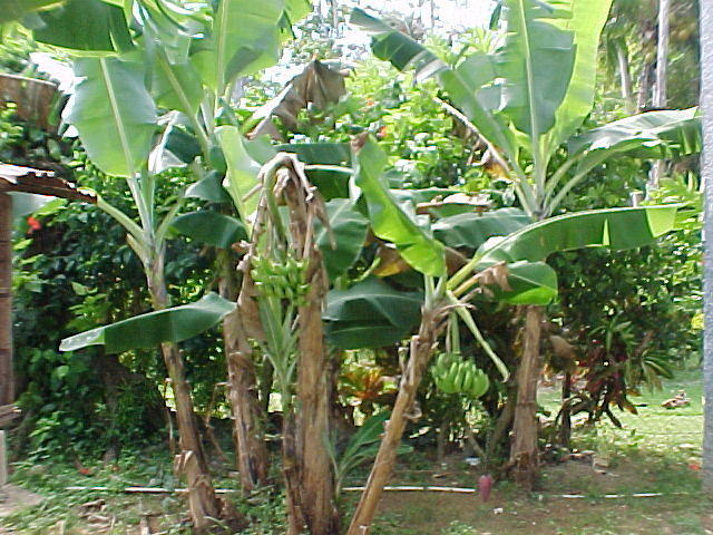 MVC_009F_016.jpg