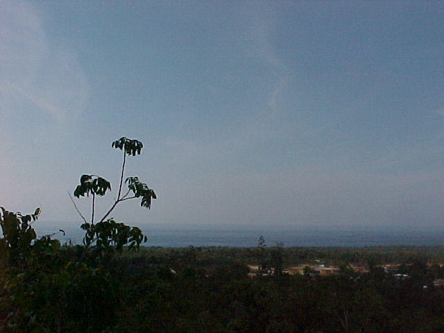 MVC_010F_007.jpg