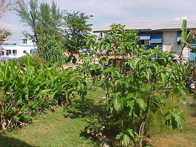 Feb. 1st, 2006