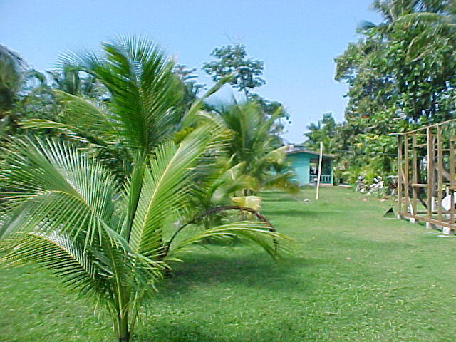 MVC_010F_015.jpg