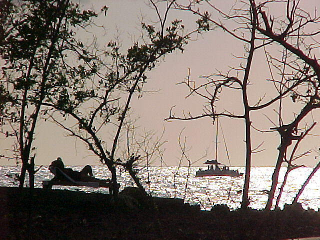 MVC_011F_018.jpg