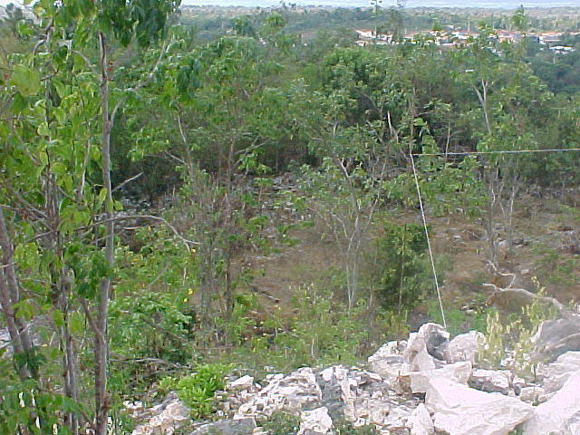 MVC_012F_005.jpg
