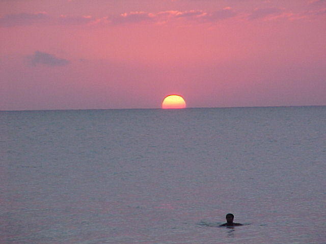 MVC_012F_012.jpg