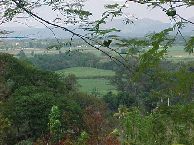 Abeokuta Feb. 22nd, 2006