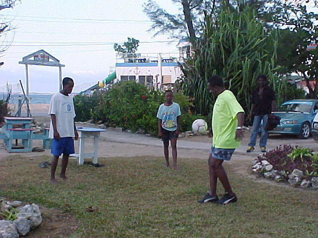 Mi Yard, Sat. Feb. 25th, 2006