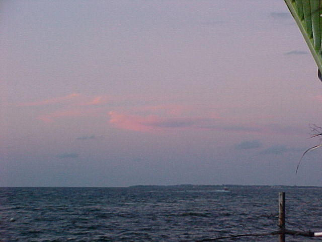 MVC_013F_007.jpg