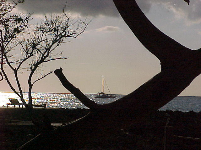 MVC_013F_016.jpg