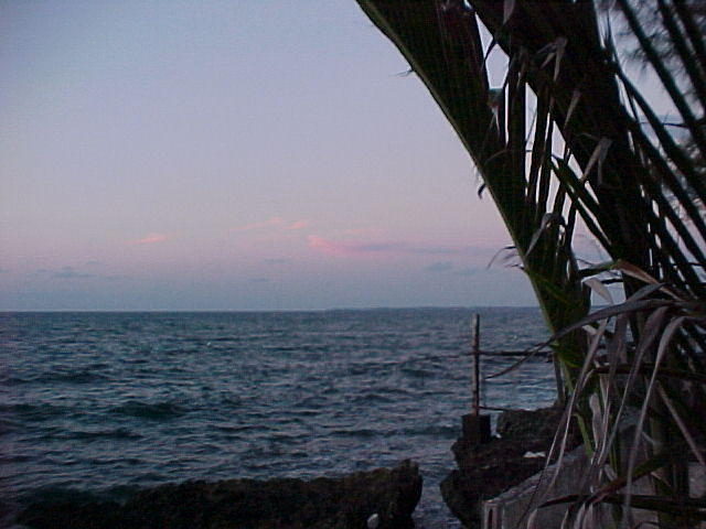 MVC_014F_007.jpg