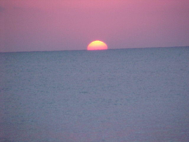 MVC_014F_010.jpg