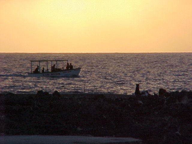 Thur. Feb. 23rd. 2006