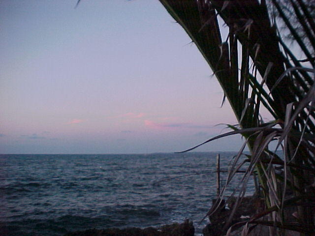 MVC_015F_005.jpg