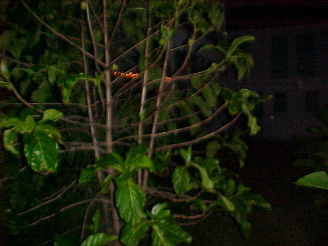 MVC_015F_011.jpg