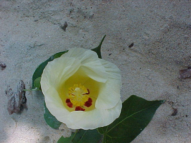 MVC_015F_016.jpg