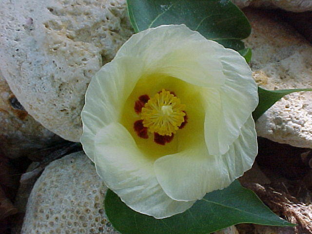 MVC_016F_013.jpg